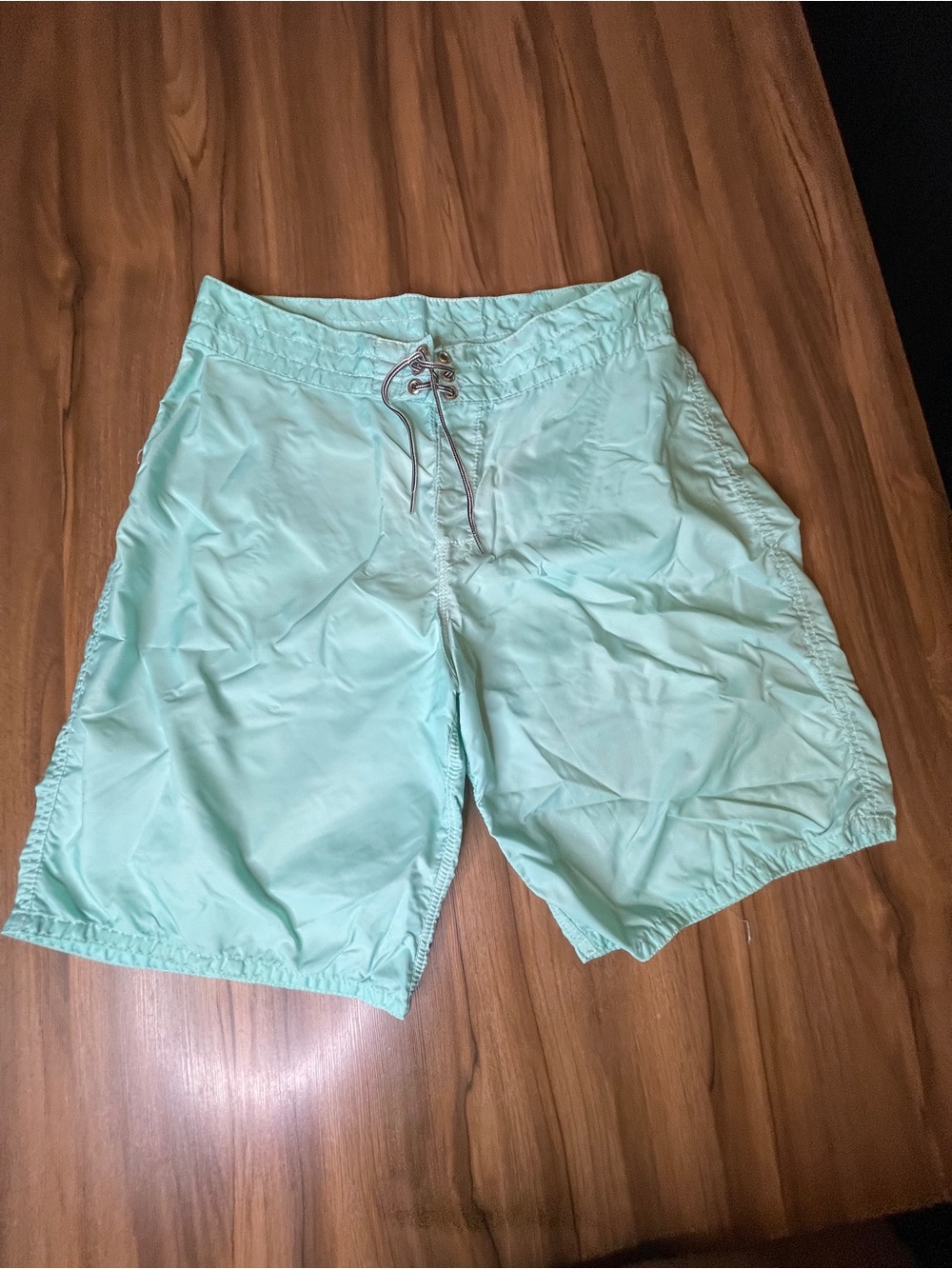 Birdwell Beach Britches Men's Board Shorts Size 35 mint green